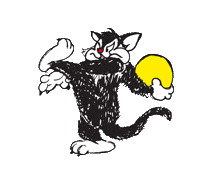 Raalte Sticker by De Stöppelkaters