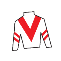 Horse Racing Sticker by Kentucky Derby