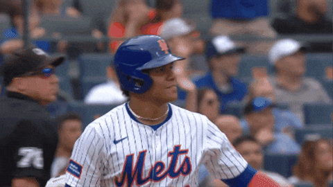 New York Mets Smile GIF by MLB