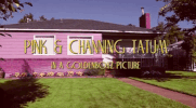 beautiful trauma GIF by P!NK