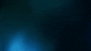 Water Bubbles GIF by SwitchMedia