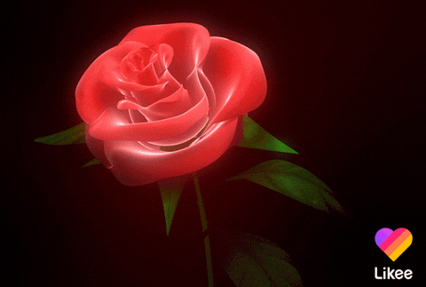 Red Rose Love GIF by Likee US