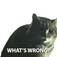 Neil Gaiman Cats Sticker by NETFLIX