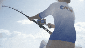 Fishing Tackle Fish GIF by AFW Fishing Brands