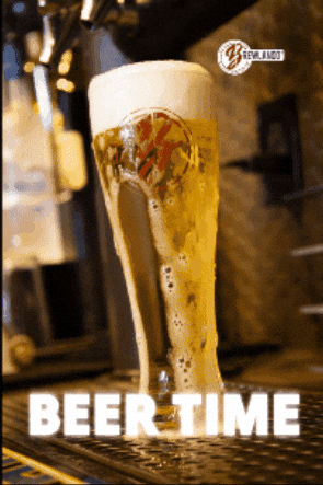 Brewlando giphygifmaker yummy pilsner beertime GIF