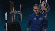 Pleased International Space Station GIF by NASA