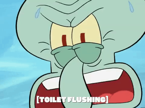 season 6 boating buddies GIF by SpongeBob SquarePants