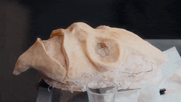 Glow Up Maya Jama GIF by BBC Three