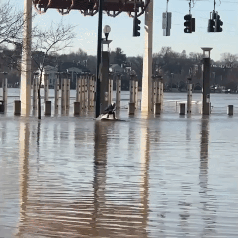 Boarder Skims Across Cincinnati Floodwater