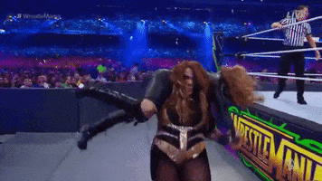 wrestlemania 34 GIF by WWE