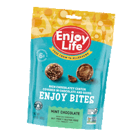 Chocolate Snack Sticker by Enjoy Life Foods