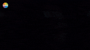 Television Esrabilgic GIF by Show TV