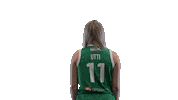 Sport Basketball Sticker by Basket_fi