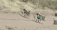 steve austin GIF by Steve Austin's Broken Skull Challenge