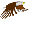graphics eagle STICKER