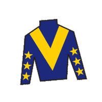 Horse Racing Sticker by Kentucky Derby