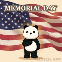 American Flag Panda GIF by Kanpai Pandas