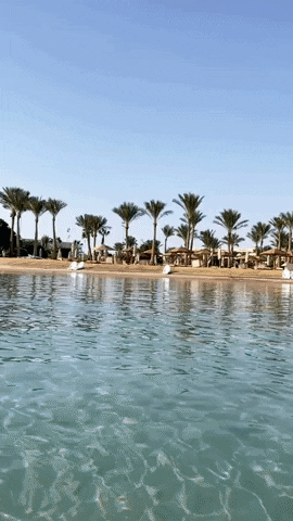 yaroslavastrutsynska giphyupload GIF