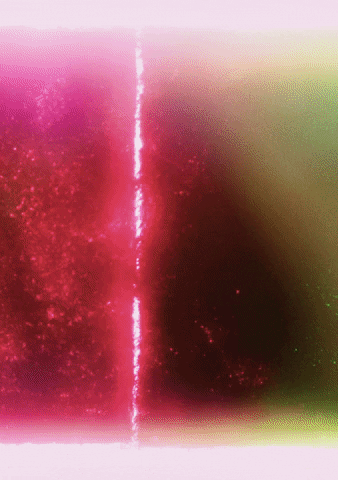 dianesagnier giphyupload GIF