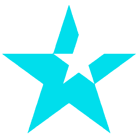 Stars Sticker by FLANCI Activewear
