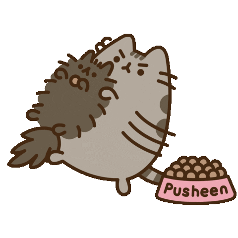 cat no Sticker by Pusheen