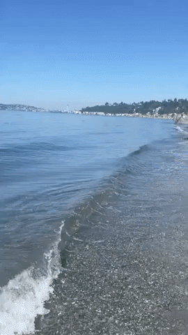 Small Plane Crashes Into Water Off Seattle Beach
