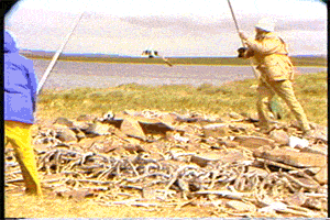 archaeology cmhgif GIF by Canadian Museum of History