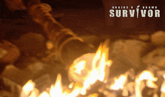 Fire Torch GIF by Australian Survivor