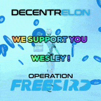 Cryptocurrency Wesley GIF by decentrelon