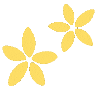 Flower Spring Sticker by Groseille