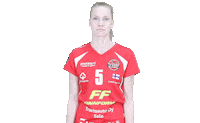 LP_Viesti lp viesti mestaruusliiga lotta piesanen Sticker