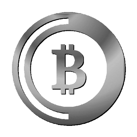 Bitcoin Crypto Sticker