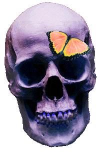 Skull Sticker by Halsey