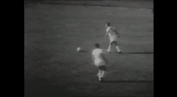 Forzacasteddu GIF by Cagliari Calcio