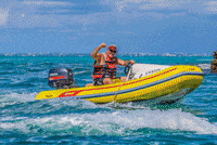 Decembernexus GIF by NexusTours