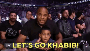 ufc 229 sport GIF by UFC