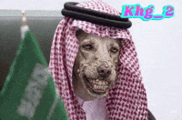 Ksa GIF
