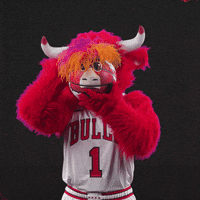 Red Bull Sport GIF by Chicago Bulls