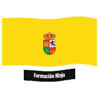 Castilla-La Mancha Bandera Sticker by Formación Ninja