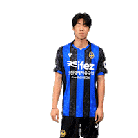 Football Soccer Sticker by Incheon United FC