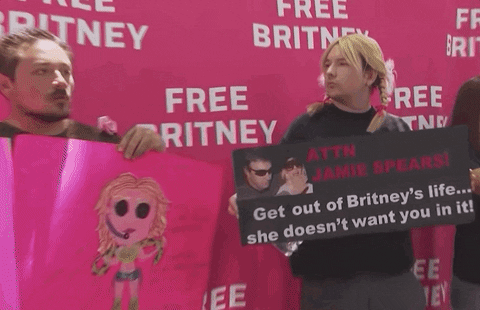 Rally Freebritney GIF by GIPHY News