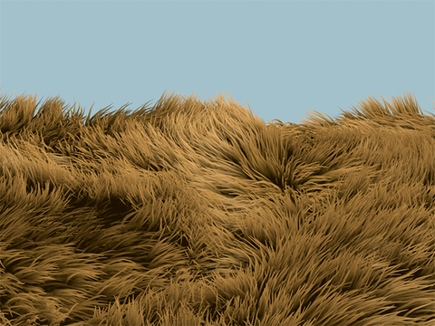 Wind Grass GIF by Sasha Katz