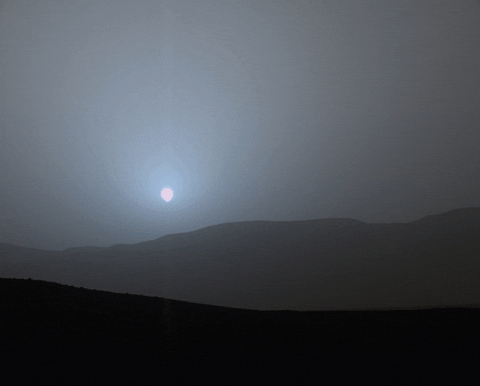 curiosity GIF