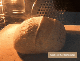 Sourdough Bread GIF