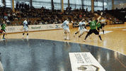 Ceska Republika Yes GIF by HCB Karviná