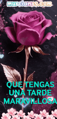 Flores Saludos GIF by Murcianys LLC