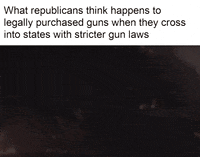 National Rifle Association Gop GIF