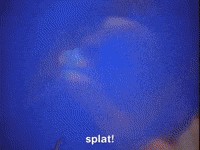 salute your shorts nicksplat GIF