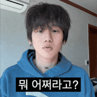 youjunglan 뭐 어쩌라고 류정란 GIF