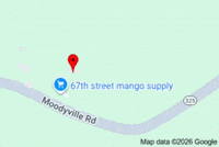 Google Map Street GIF